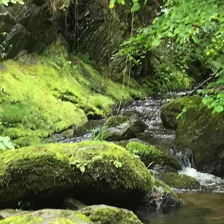 別荘 La Terrasse Aux Citronniers