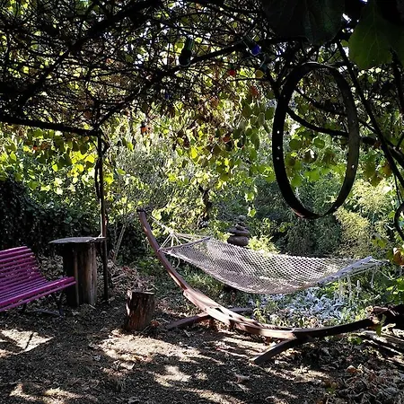 La Terrasse Aux Citronniers Saint-Vincent (Herault)
