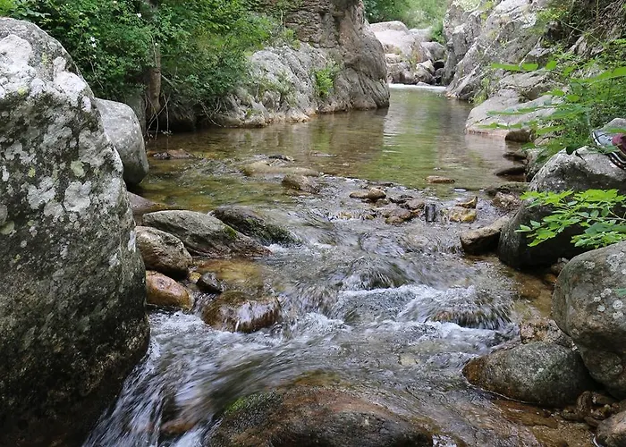 בית נופש La Terrasse Aux Citronniers